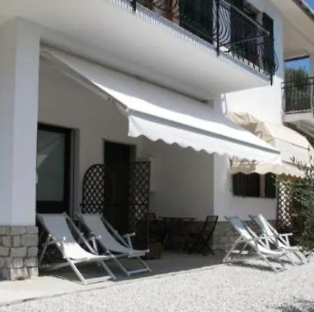 The Dream 3* ゾアーリ