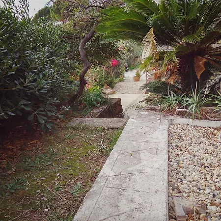 The Dream 3* 佐阿利